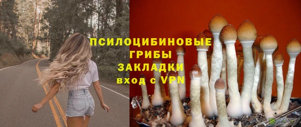 меф Зеленодольск