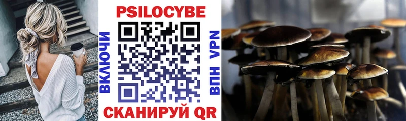 Купить где  Кисловодск  Галлюциногенные грибы ЛСД 